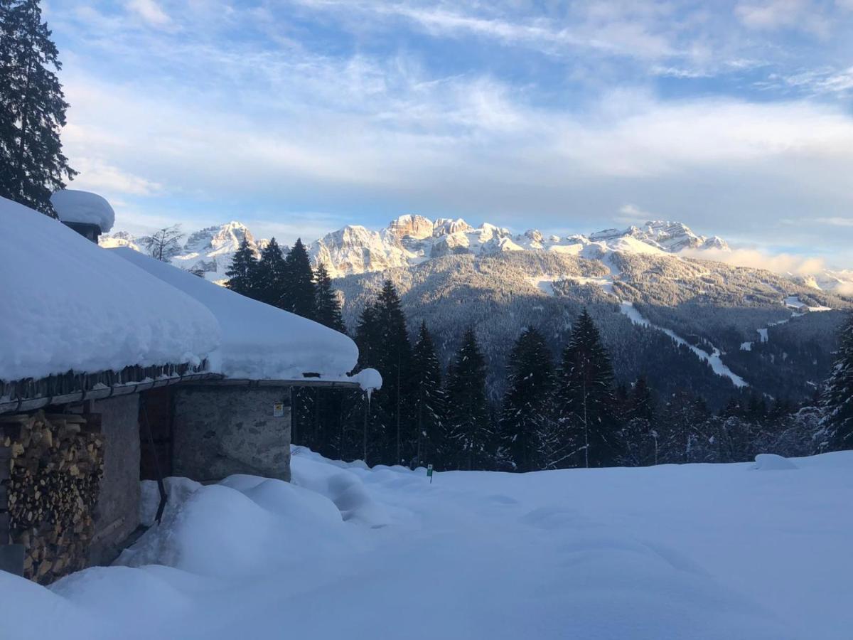 Casa Salvaterra Affittacamere Pinzolo Exterior foto