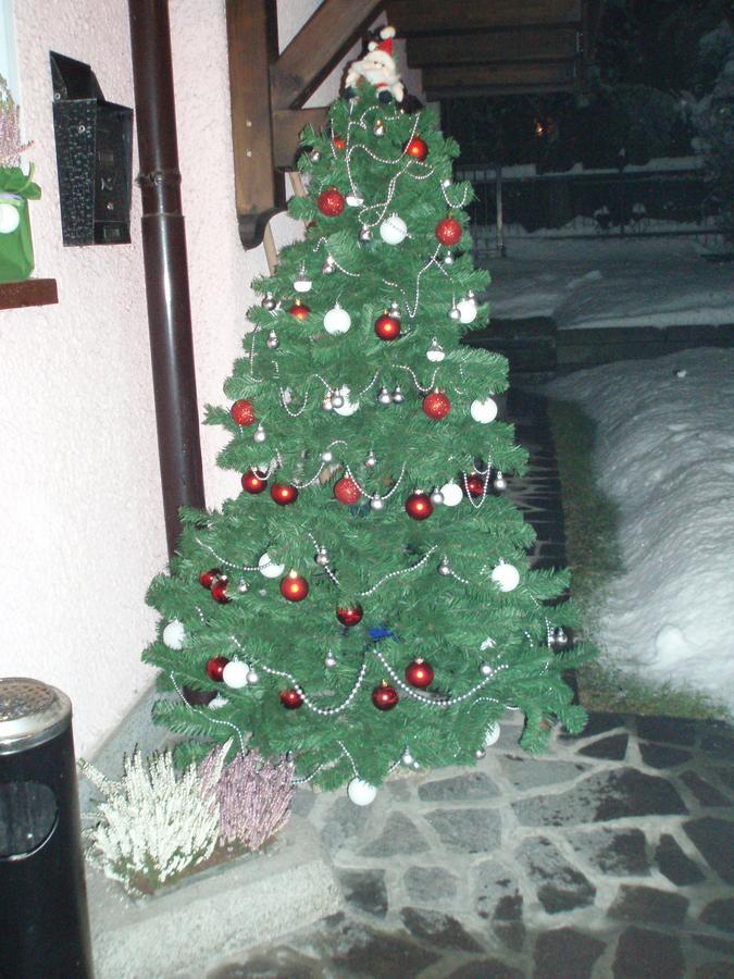 Casa Salvaterra Affittacamere Pinzolo Exterior foto